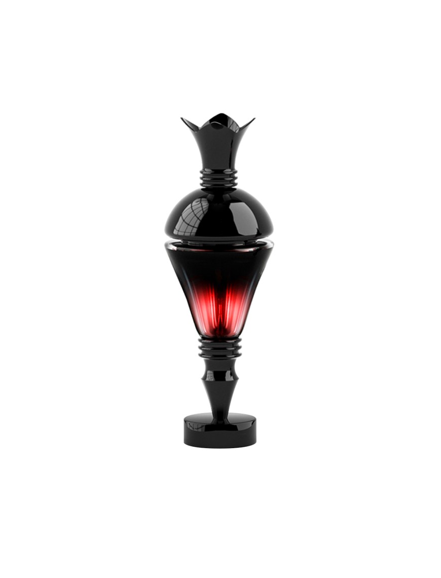 Double Bottle Floral Women's Perfume