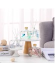Preserved Flower Scented Diffuser