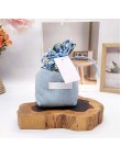 Wardrobe Long Lasting Scented Sachet