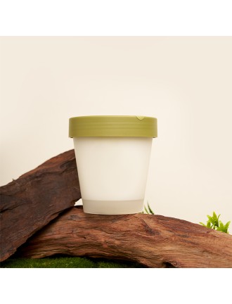 Tea Scented Solid Perfume